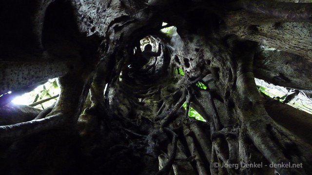 esteli-jinotega-miraflor 079