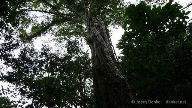 esteli-jinotega-miraflor 081