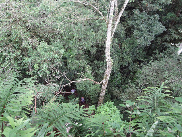 esteli-jinotega-miraflor 082