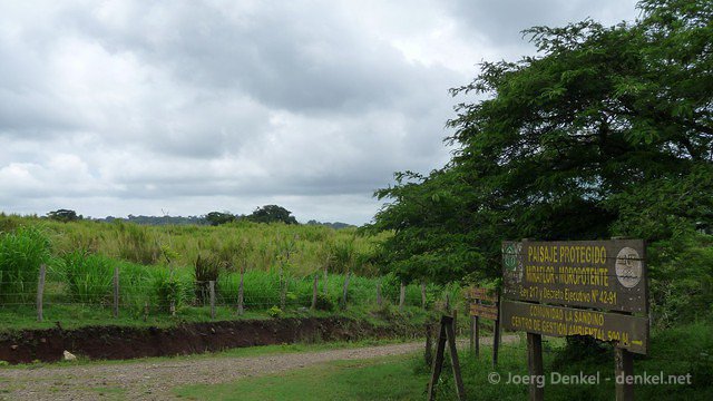 esteli-jinotega-miraflor 083