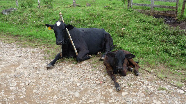 esteli-jinotega-miraflor 084