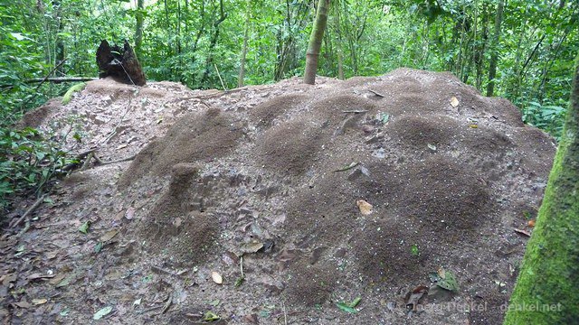 esteli-jinotega-miraflor 086