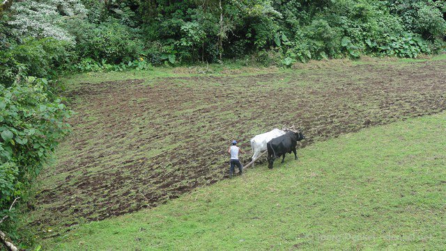 esteli-jinotega-miraflor 106
