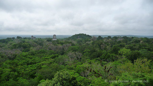 tikal 009
