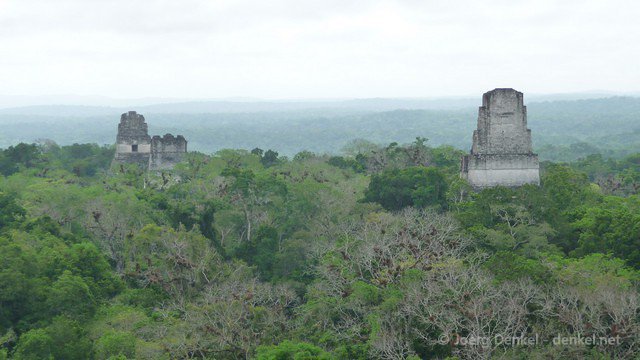 tikal 011