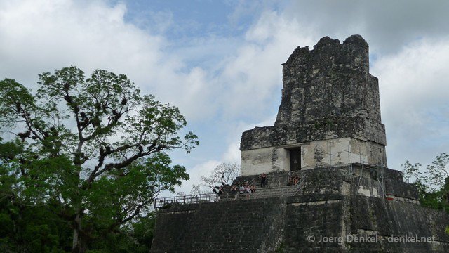 tikal 036