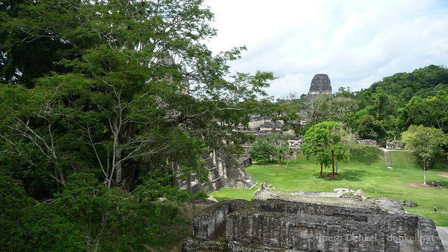 tikal 039