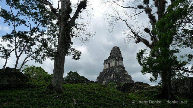 tikal 045