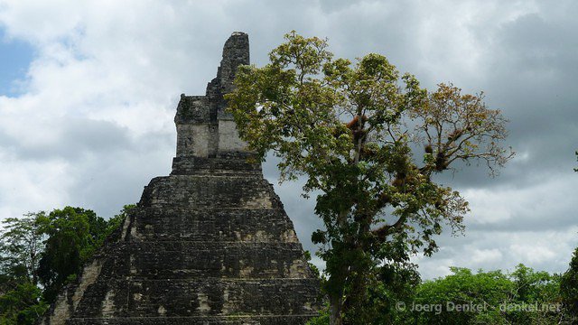 tikal 047