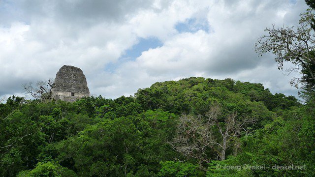 tikal 048