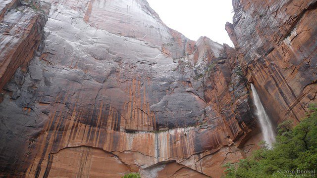 day1 zion-np 025