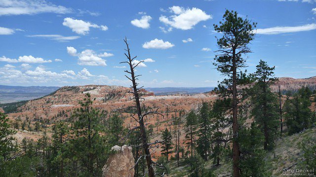 day2 bryce-canyon-np 002