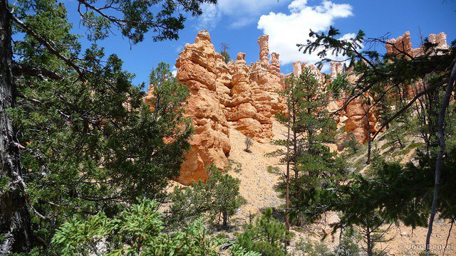 day2 bryce-canyon-np 010
