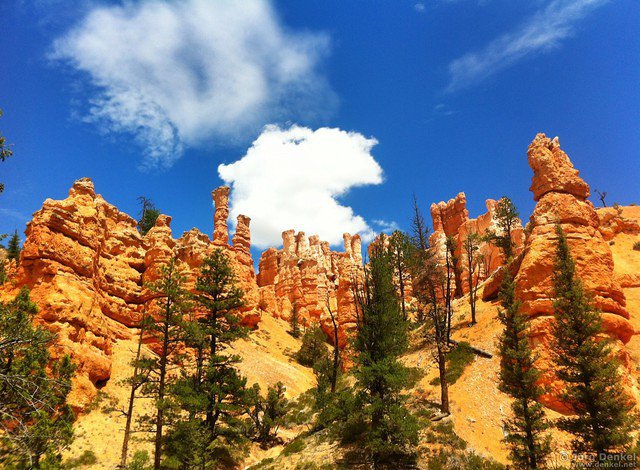 day2 bryce-canyon-np 012
