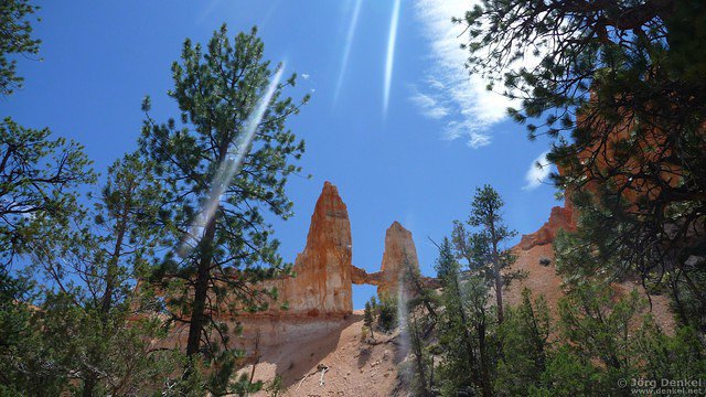 day2 bryce-canyon-np 014