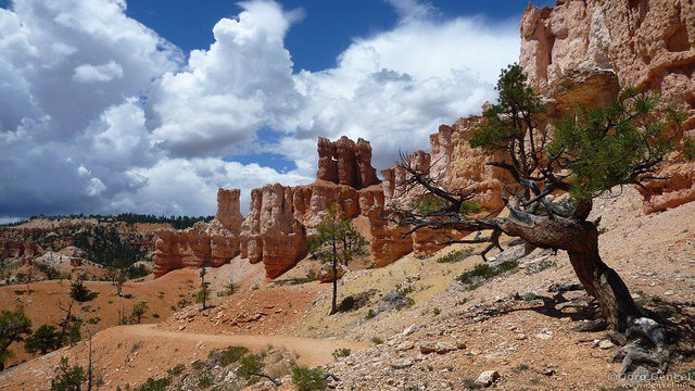day2 bryce-canyon-np 017