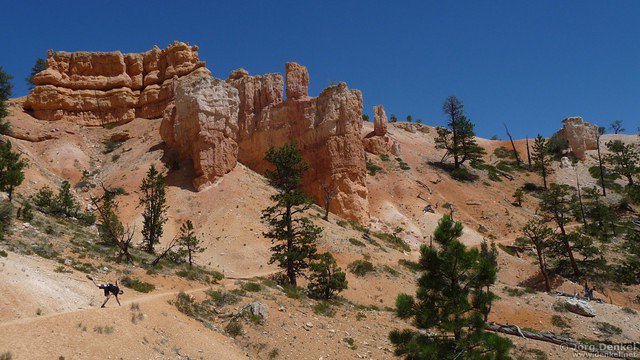 day2 bryce-canyon-np 023