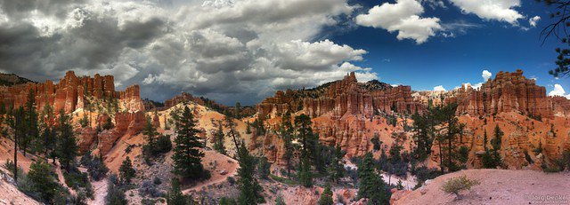 day2 bryce-canyon-np 030
