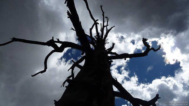 day2 bryce-canyon-np 033