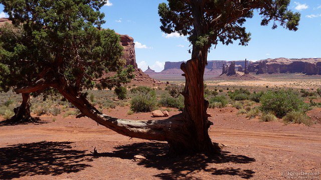 day4-5 monument-valley 048