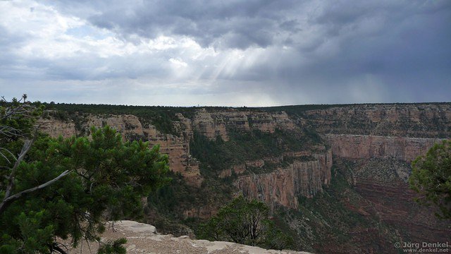 day6-7 grand-canyon 024