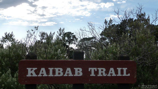 day6-7 grand-canyon 034