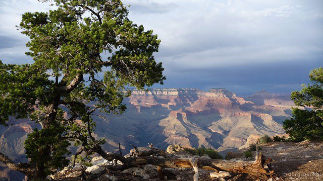day6-7 grand-canyon 036