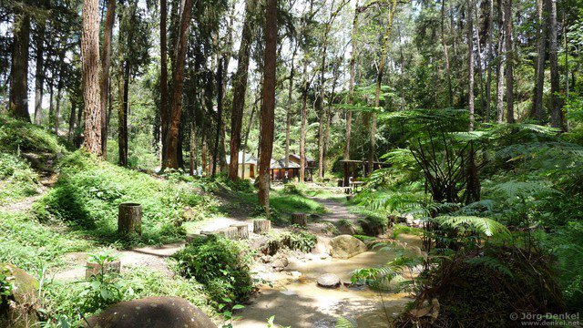 cameronhighlands 007