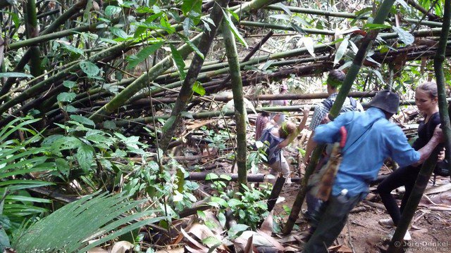 cameronhighlands 013