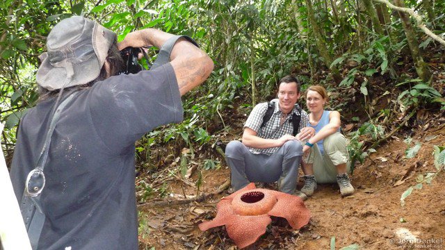 cameronhighlands 022