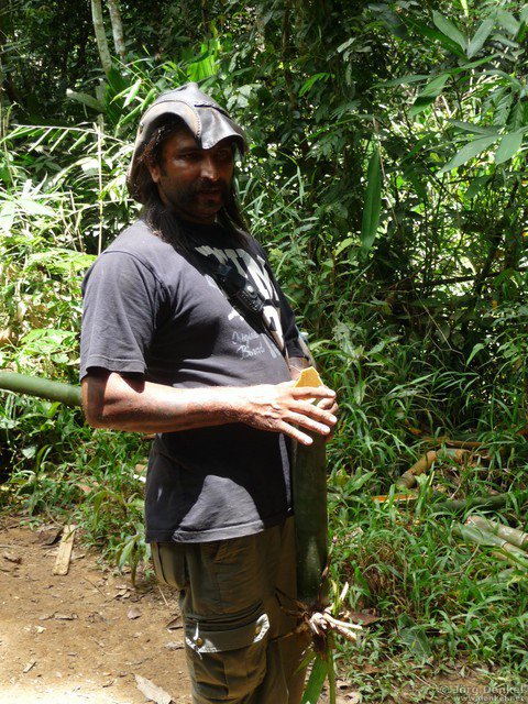 cameronhighlands 024