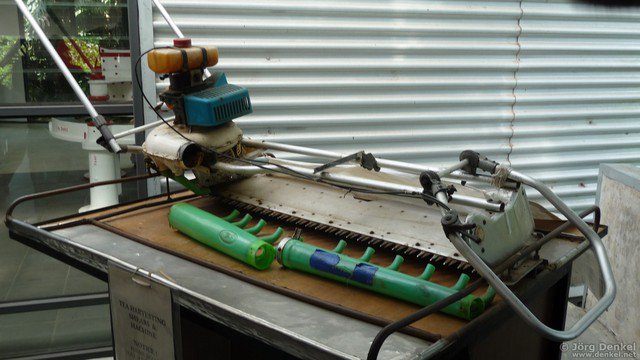 cameronhighlands 033