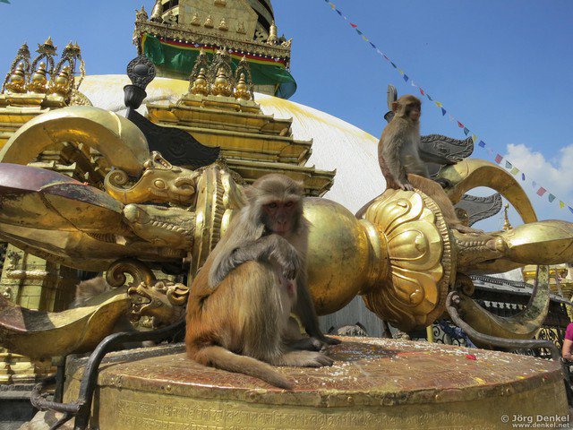 kathmandu 028