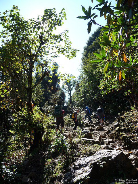 himalaya-gosainkunda 008