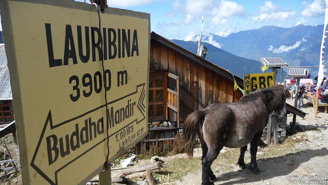 himalaya-gosainkunda 024