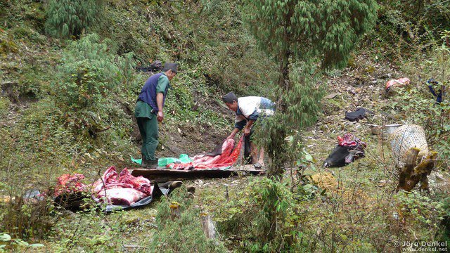 himalaya-gosainkunda 066