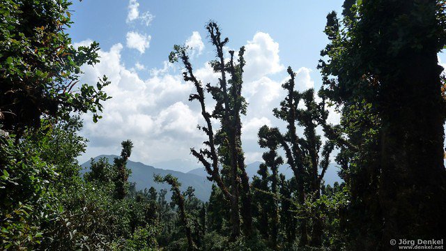 himalaya-gosainkunda 068