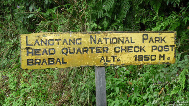 himalaya-langtang 005