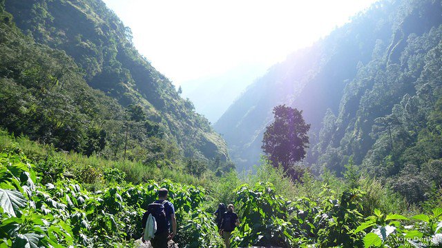 himalaya-langtang 010