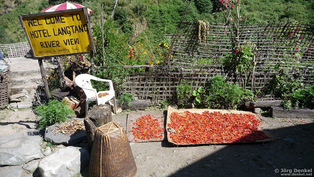 himalaya-langtang 013