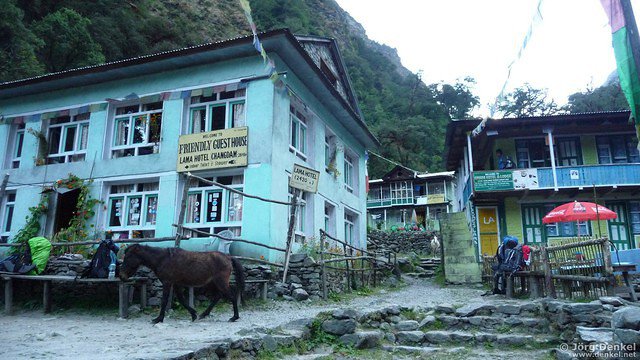himalaya-langtang 024
