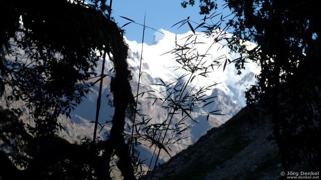 himalaya-langtang 028