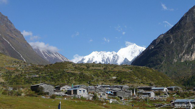 himalaya-langtang 038