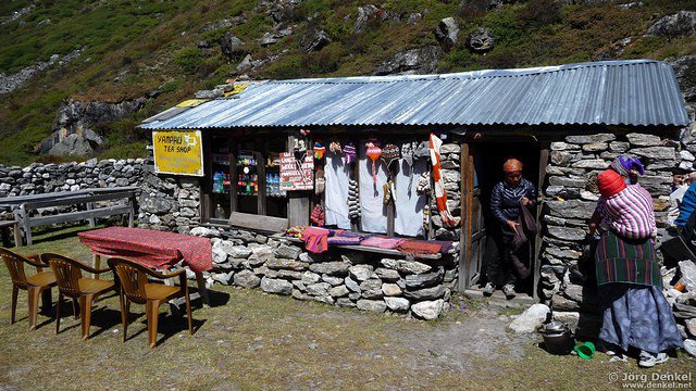 himalaya-langtang 054