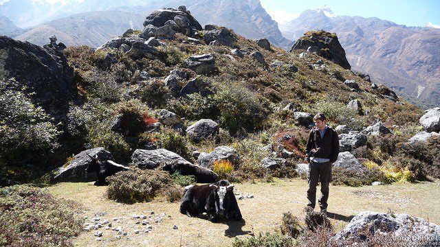 himalaya-langtang 058