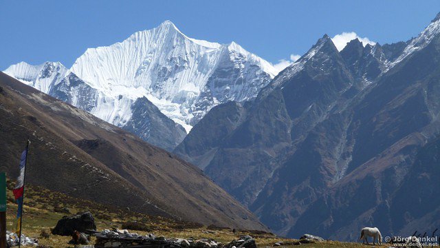 himalaya-langtang 063