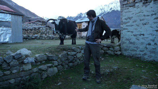 himalaya-langtang 080