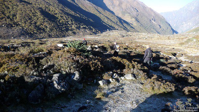 himalaya-langtang 082