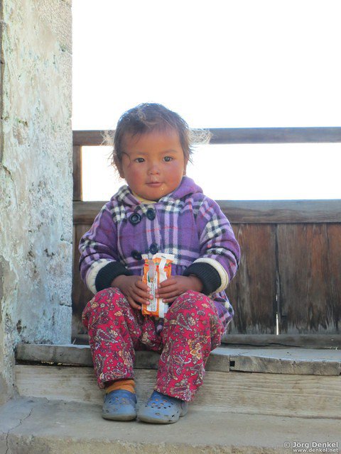 himalaya-langtang 119