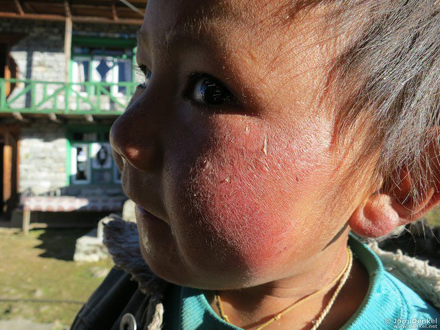 himalaya-langtang 121